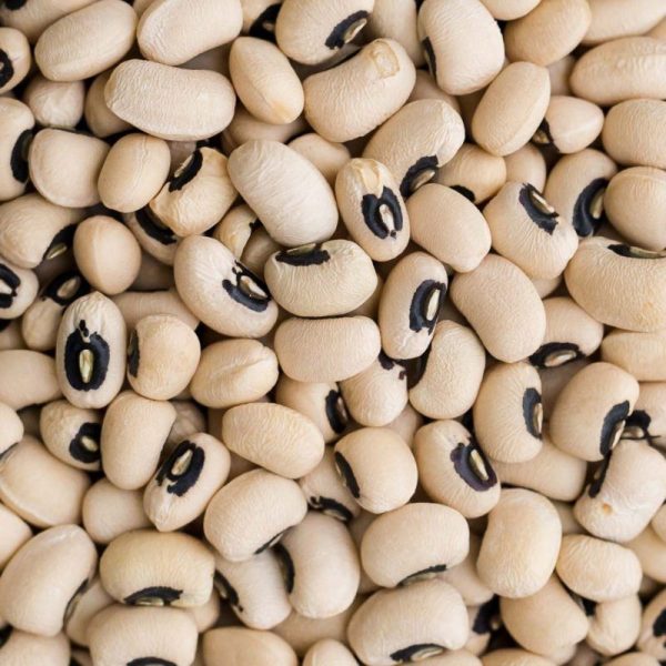 vBlack Eyed Beans-Cowpea1